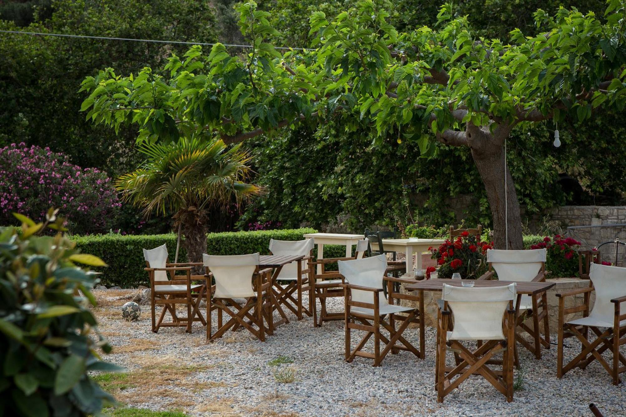 Agarathos Traditional Rooms With Pool 凯里瓦尼 外观 照片