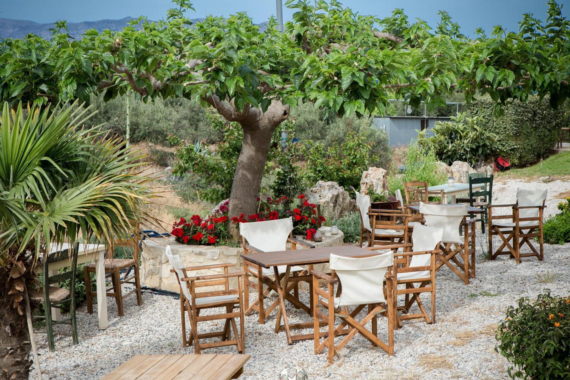 Agarathos Traditional Rooms - Pool - Kaliviani -On The Road To Balos 外观 照片